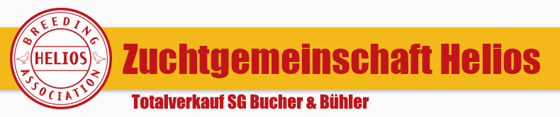 Auktion Albert Bucher