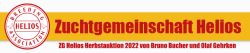 Auktion ZG Helios