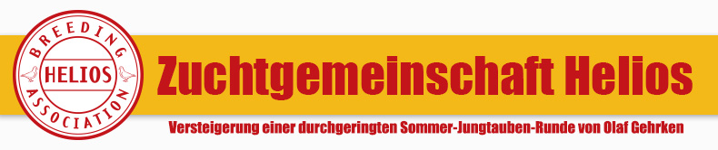 zghelios header
