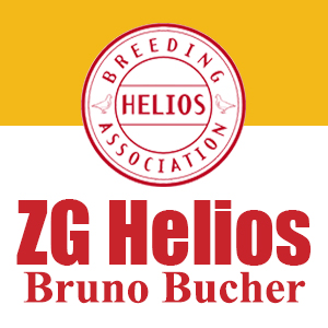 Auktion Bruno Bucher