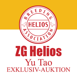 Auktion Yu Tao