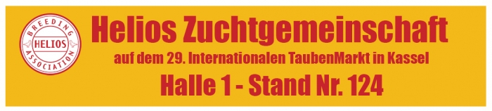 ZG Helios Kassel