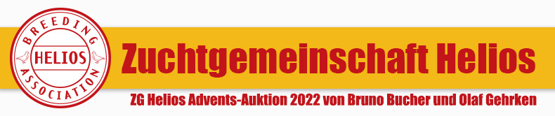 ZG Helios Auktion